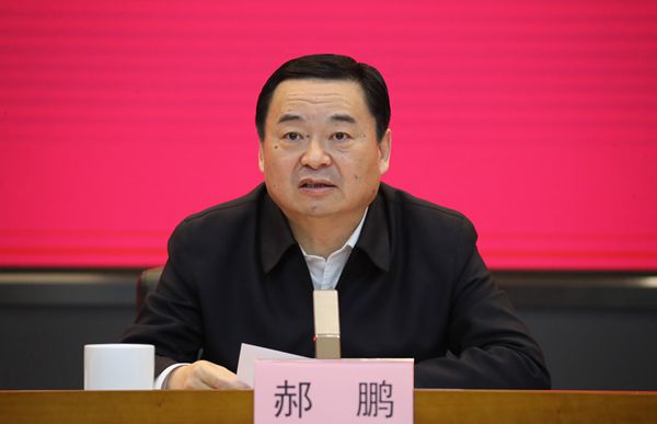郝鵬、國資、央企、國資委、書記、主任、國企、企業(yè)改革
